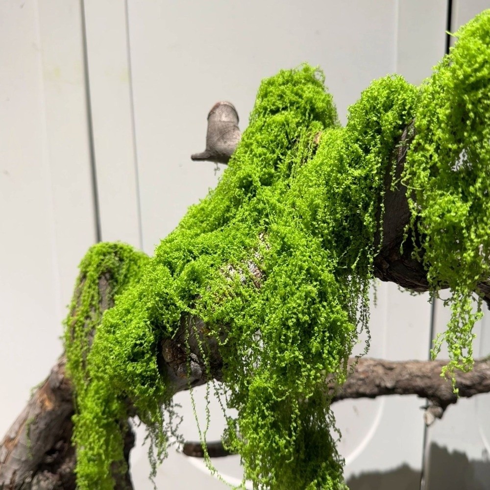 Terrarium Moss Art - Musgo Artificial de Poliéster para Manualidades,