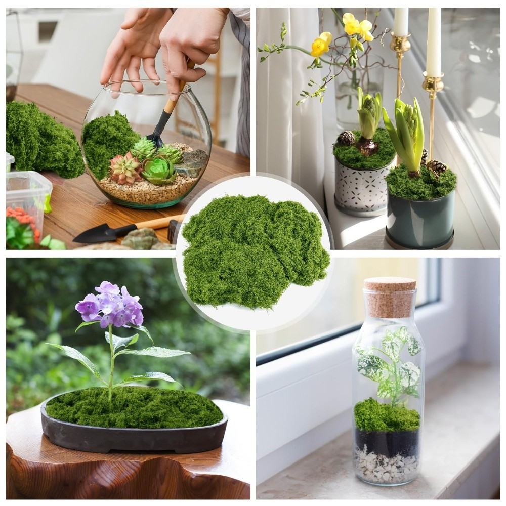 Musgo Artificial de Poliéster  - Terrarium Moss Art reseña y precio